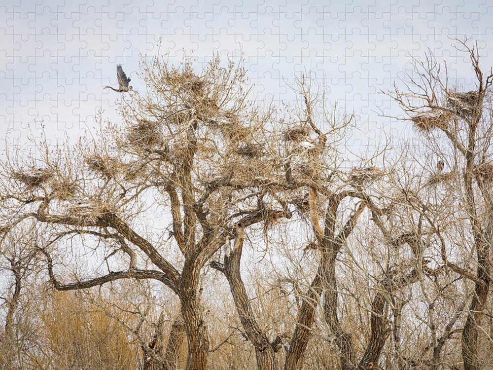 Great Blue Heron Jigsaw Puzzle featuring the photograph Great Blue Heron Rookery by James BO Insogna