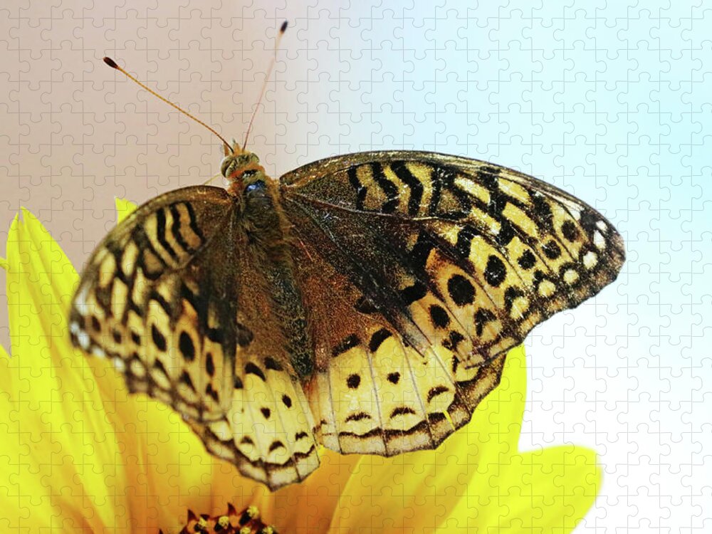 Butterfly Jigsaw Puzzle featuring the photograph Great Spangled Fritillary Butterfly by Debbie Oppermann