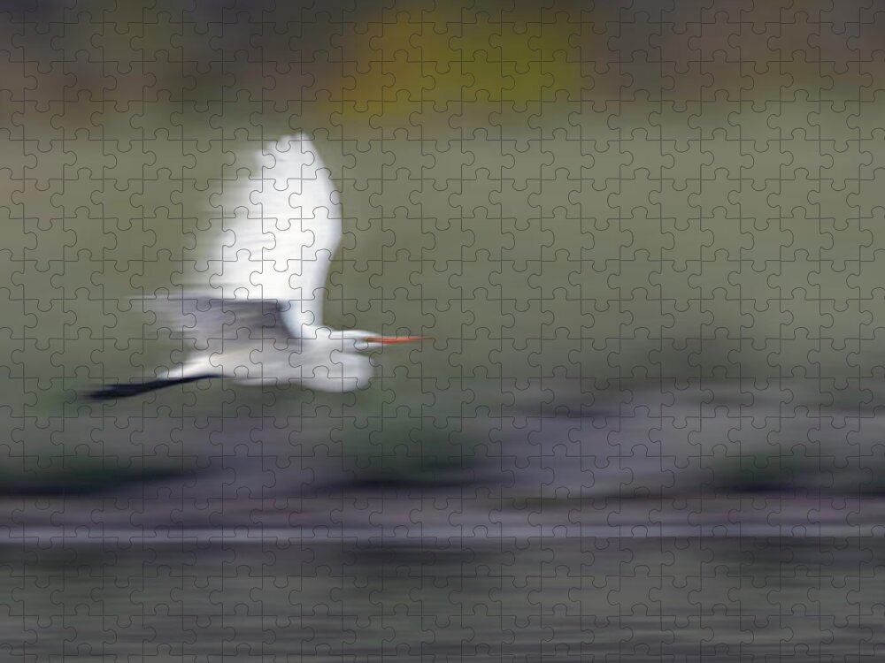 Great White Egret Jigsaw Puzzle featuring the photograph Great White Egret 7 by Rick Mosher