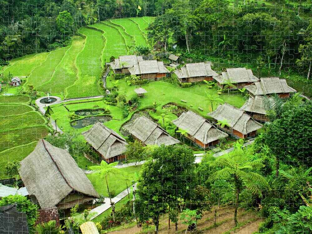 Rice Paddy Jigsaw Puzzle featuring the photograph Green Rice Paddies And Bungalows by Elena Aleksandrovna Ermakova