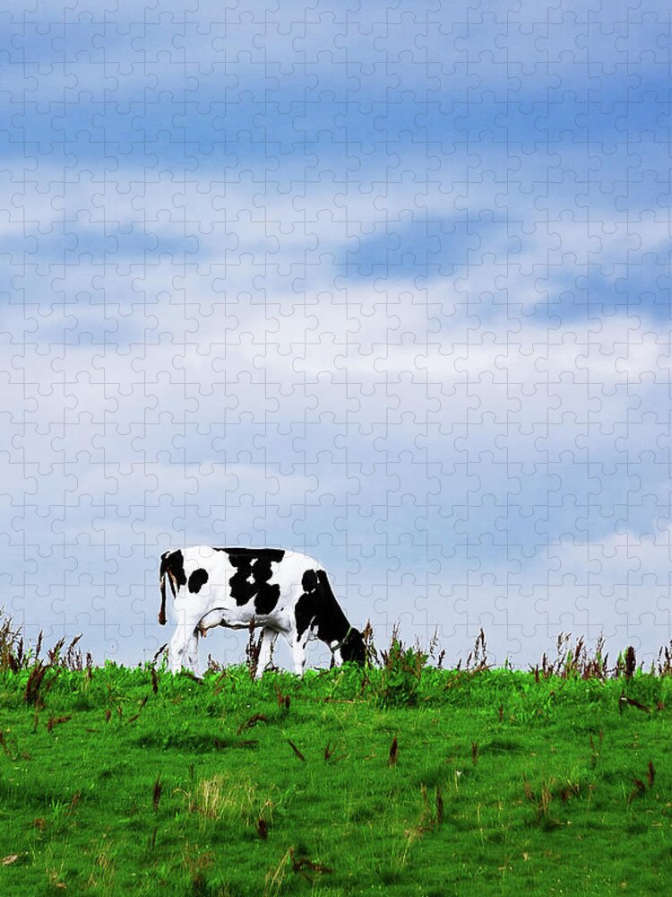 Grass Jigsaw Puzzle featuring the photograph Greetings From The Dairy Factory by Photo By Patric Ivan
