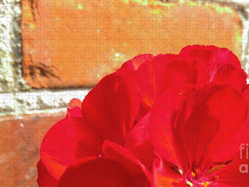 Flower Jigsaw Puzzle featuring the photograph Half on a Red by Robert Knight