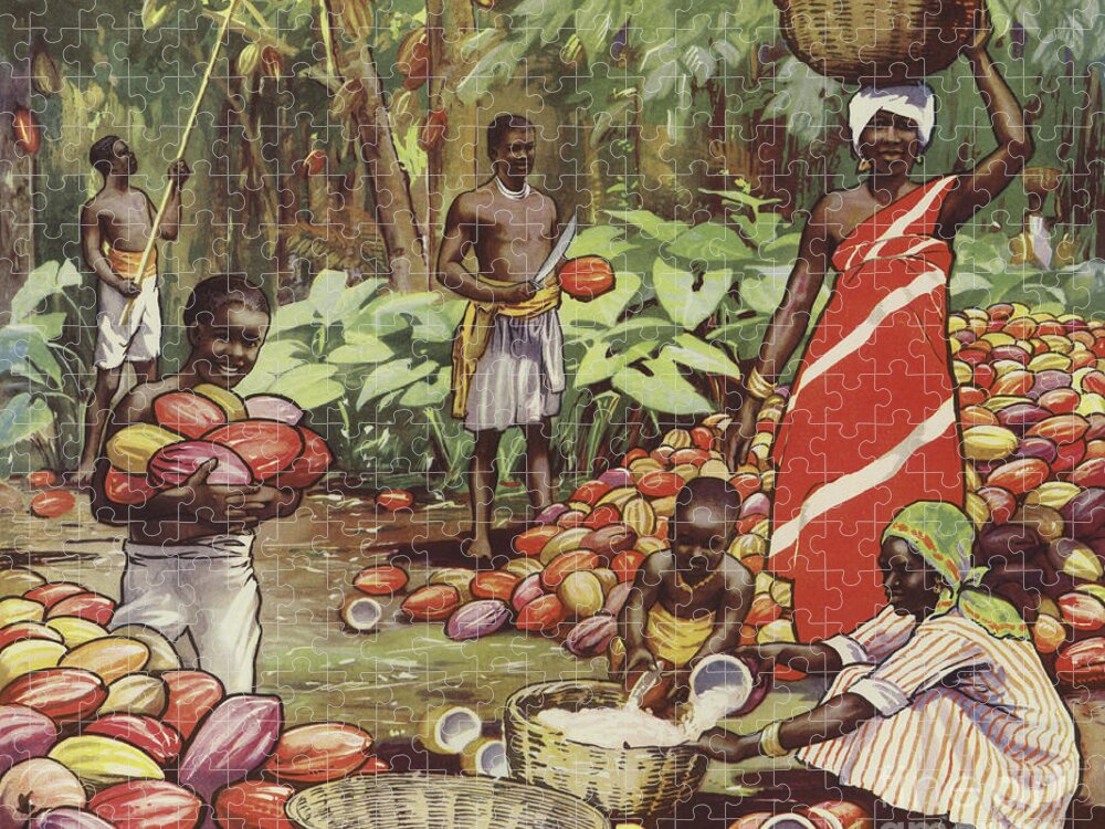 1920s Jigsaw Puzzle featuring the drawing Harvesting Coconuts by English School