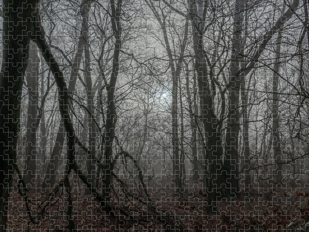 Woods Jigsaw Puzzle featuring the photograph Haunted Woods by Arthur Oleary