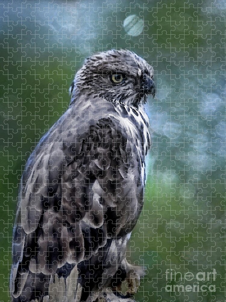 Birds Jigsaw Puzzle featuring the photograph Hawk Eagle by Elaine Manley
