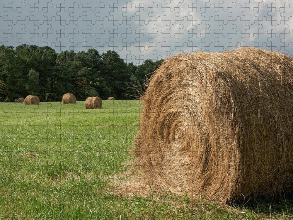 Hay Bales Jigsaw Puzzle featuring the photograph Hay Bales by Minnie Gallman