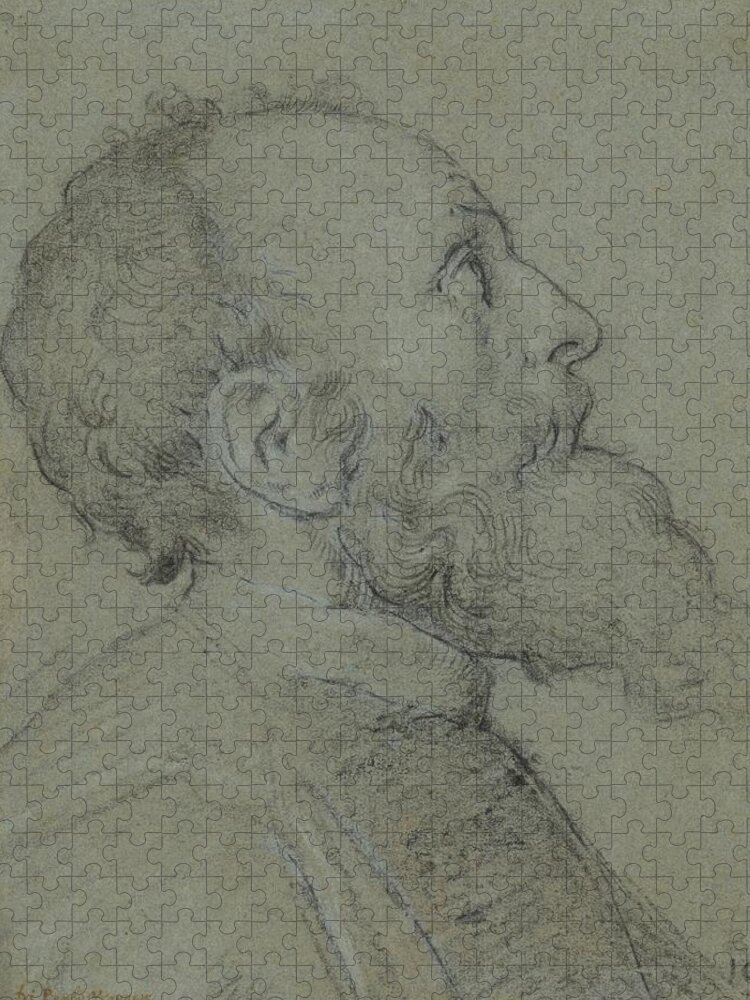 Profile Jigsaw Puzzle featuring the drawing Head Of A Bearded Man by School Of Paolo Veronese