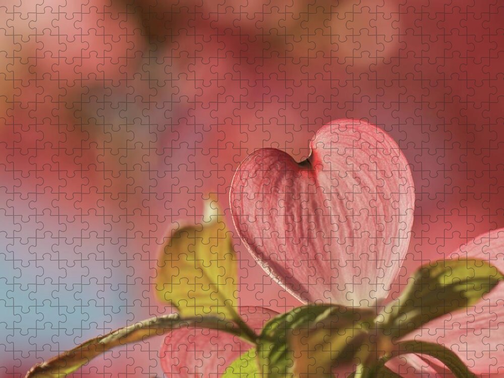 Dogwood Jigsaw Puzzle featuring the photograph Heart Bloom by Pamela Long