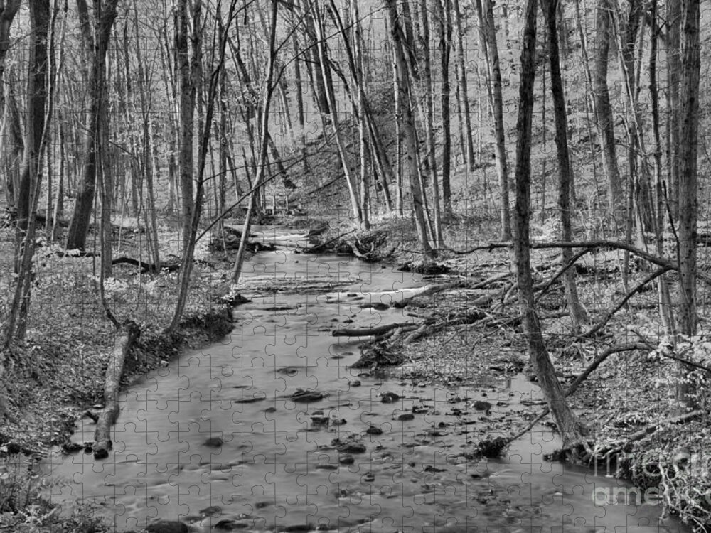 Hells Hollow Jigsaw Puzzle featuring the photograph Hells Hollow Fall Foliage Black And White by Adam Jewell