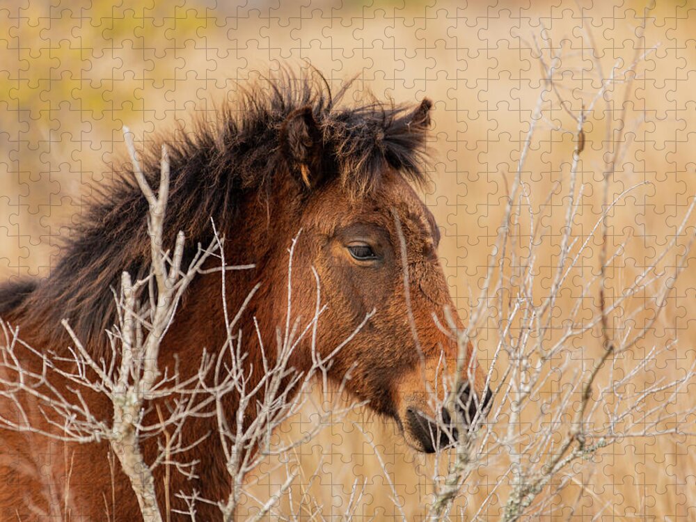 Animals Jigsaw Puzzle featuring the photograph Hidden Filly by Donna Twiford