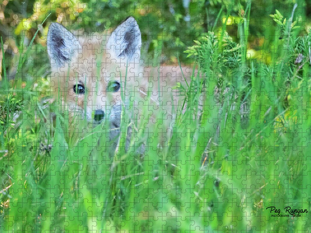 Fox Jigsaw Puzzle featuring the photograph Hiding by Peg Runyan