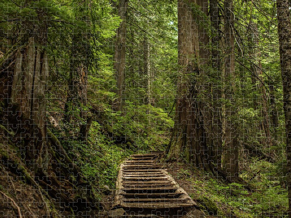Hiking Trail Jigsaw Puzzle featuring the photograph Hiking in Mt. Rainier, Washington by Julieta Belmont