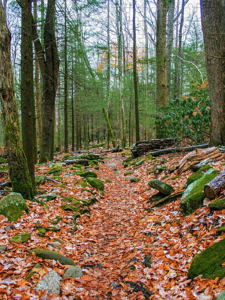 Photo For Sale Jigsaw Puzzle featuring the photograph Hiking Trail in Autumn by Robert Wilder Jr