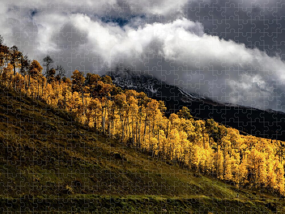 Hillside Aspens Jigsaw Puzzle by Norma Brandsberg - Pixels Puzzles