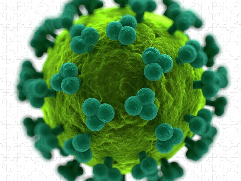 Pathogen Puzzle featuring the digital art Hiv Particle, Artwork by Science Photo Library - Sciepro