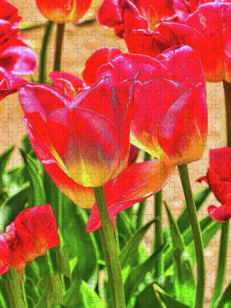 Holland Jigsaw Puzzle featuring the photograph Holland Ridge Tulip Farm # 18 by Allen Beatty