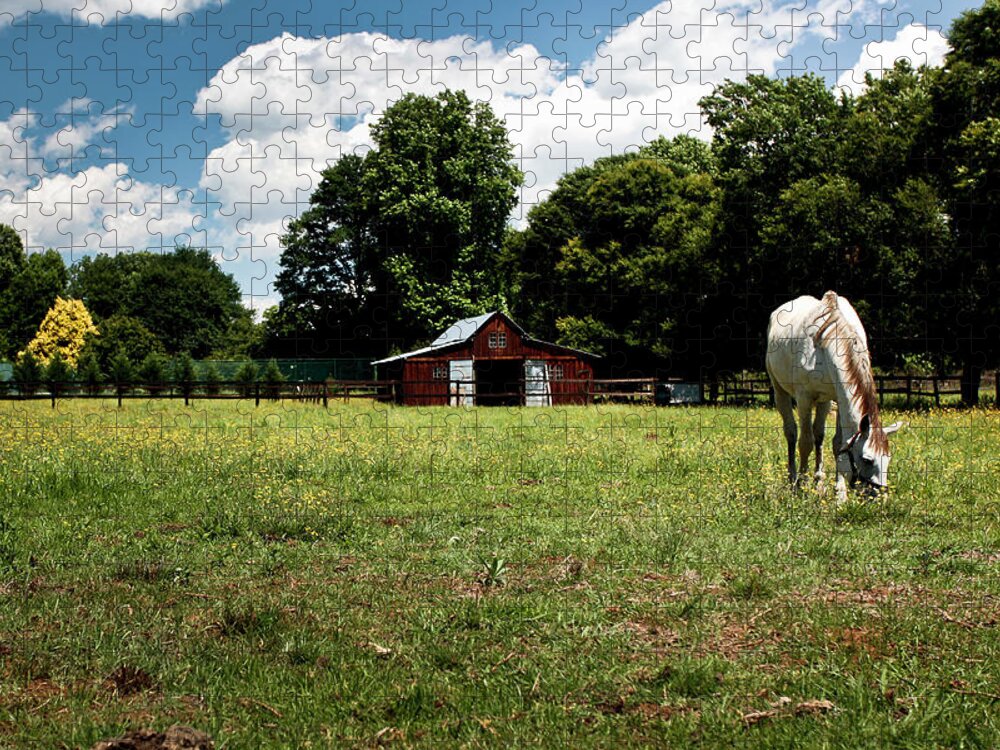 Horse Jigsaw Puzzle featuring the photograph Horse Grazing In Pastures With Barn In by Jacques Marais