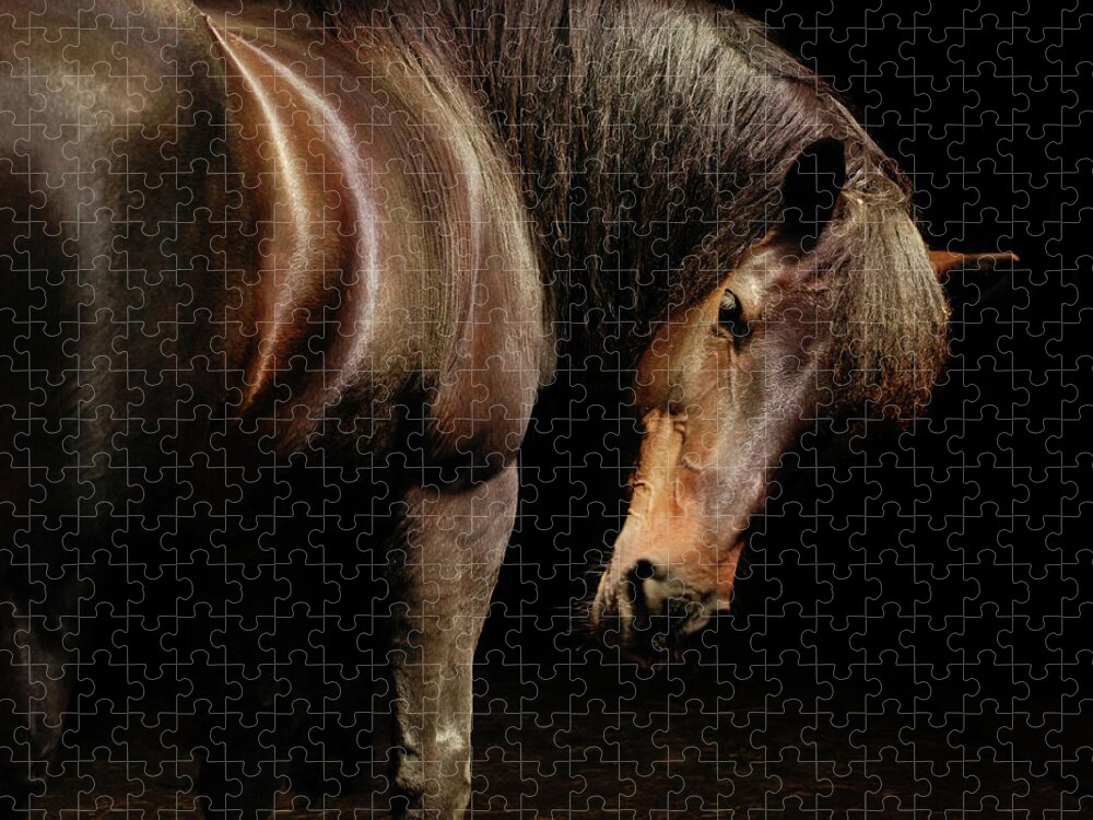 Horse Jigsaw Puzzle featuring the photograph Horse Looking Over Shoulder by Anne Louise Macdonald Of Hug A Horse Farm