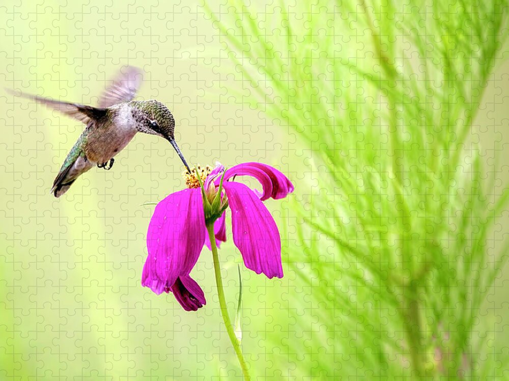 Hummingbird Jigsaw Puzzle featuring the photograph Hummingbird Feeding by Deborah Penland