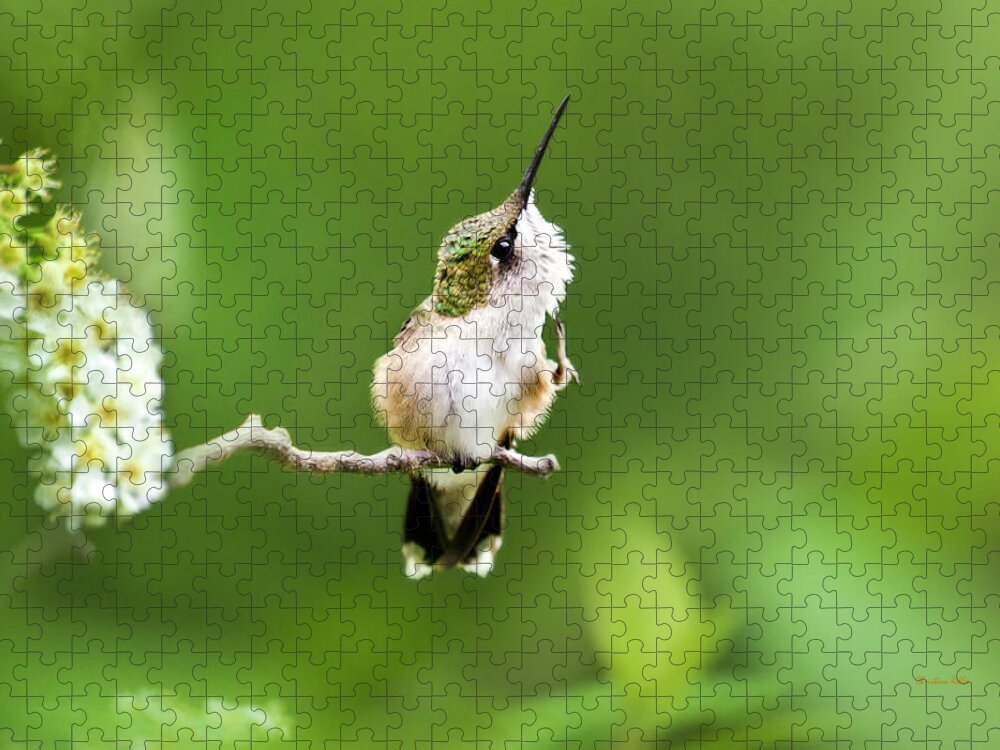 Hummingbird Jigsaw Puzzle featuring the photograph Hummingbird Flexibility by Christina Rollo