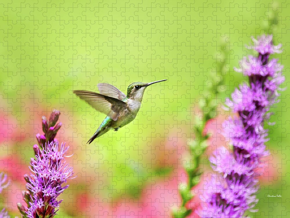 Hummingbird Jigsaw Puzzle featuring the photograph Hummingbird In Paradise by Christina Rollo
