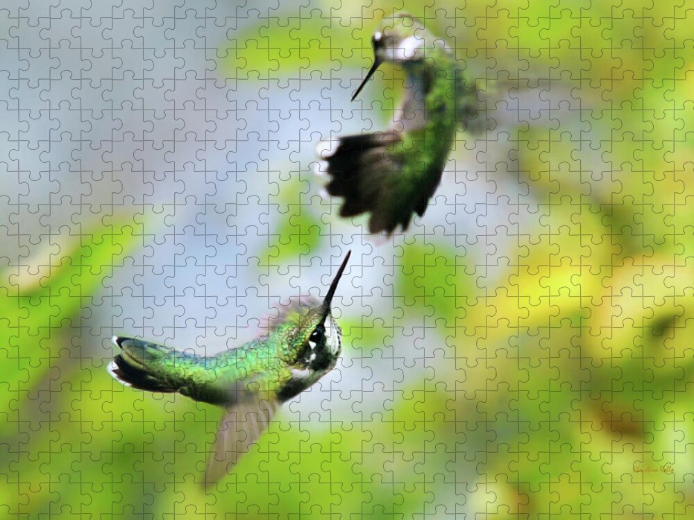 Hummingbirds Jigsaw Puzzle featuring the photograph Hummingbirds Ensuing Battle by Christina Rollo