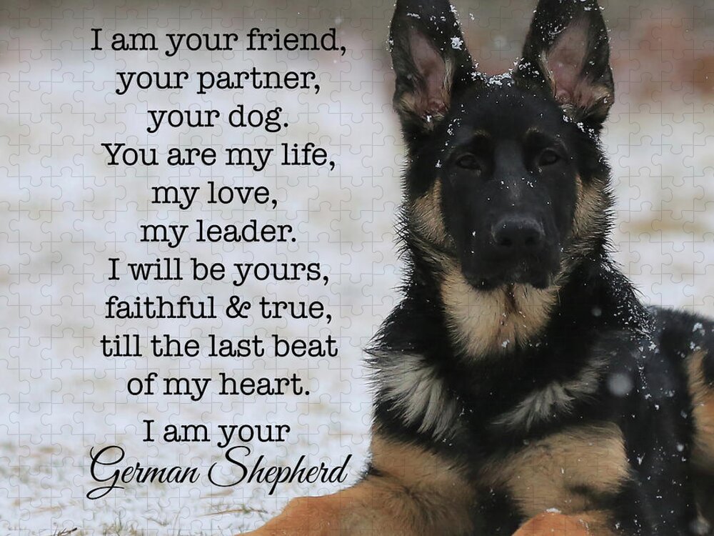 https://render.fineartamerica.com/images/rendered/default/flat/puzzle/images/artworkimages/medium/2/i-am-your-german-shepherd-stamp-city.jpg?&targetx=0&targety=-125&imagewidth=1000&imageheight=1000&modelwidth=1000&modelheight=750&backgroundcolor=CDCFD3&orientation=0&producttype=puzzle-18-24&brightness=623&v=6