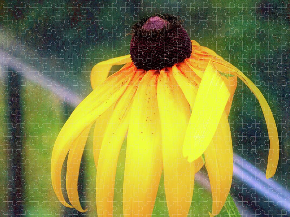 Black-eyed Susan Jigsaw Puzzle featuring the photograph Can-Do Cassie Climbing Over The Railing by Anita Pollak