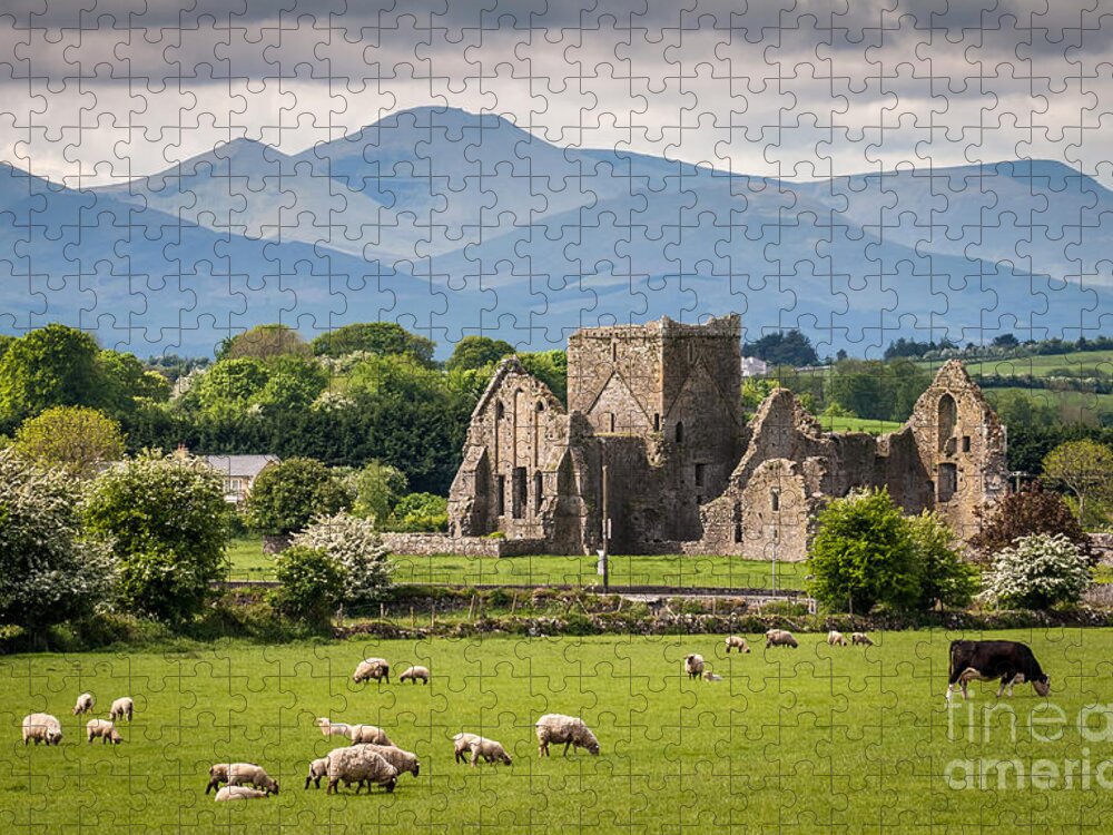 Country Jigsaw Puzzle featuring the photograph Idyllic Irish Landscape by Pierre Leclerc