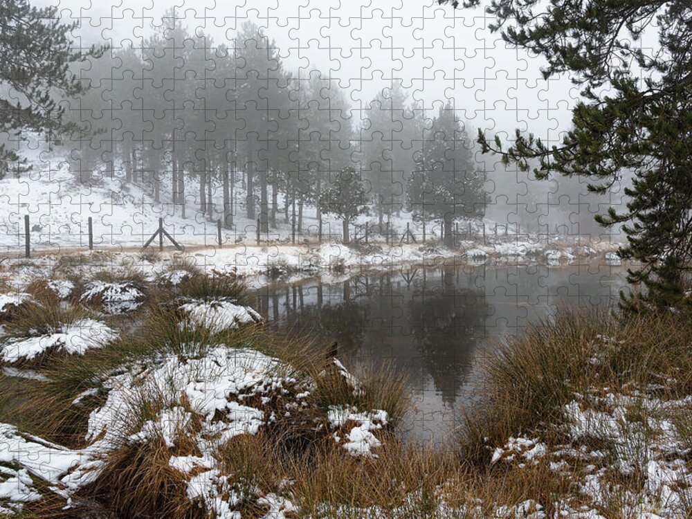 Wintertime Jigsaw Puzzle featuring the photograph Idyllic winter forest landscape at Troodos Mountains, Cyprus by Michalakis Ppalis