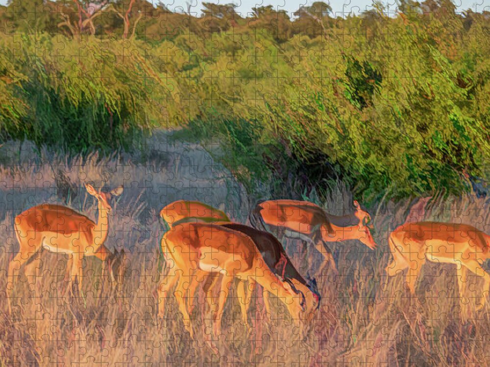Impala Jigsaw Puzzle featuring the photograph Impalas of Botswana, Painterly by Marcy Wielfaert