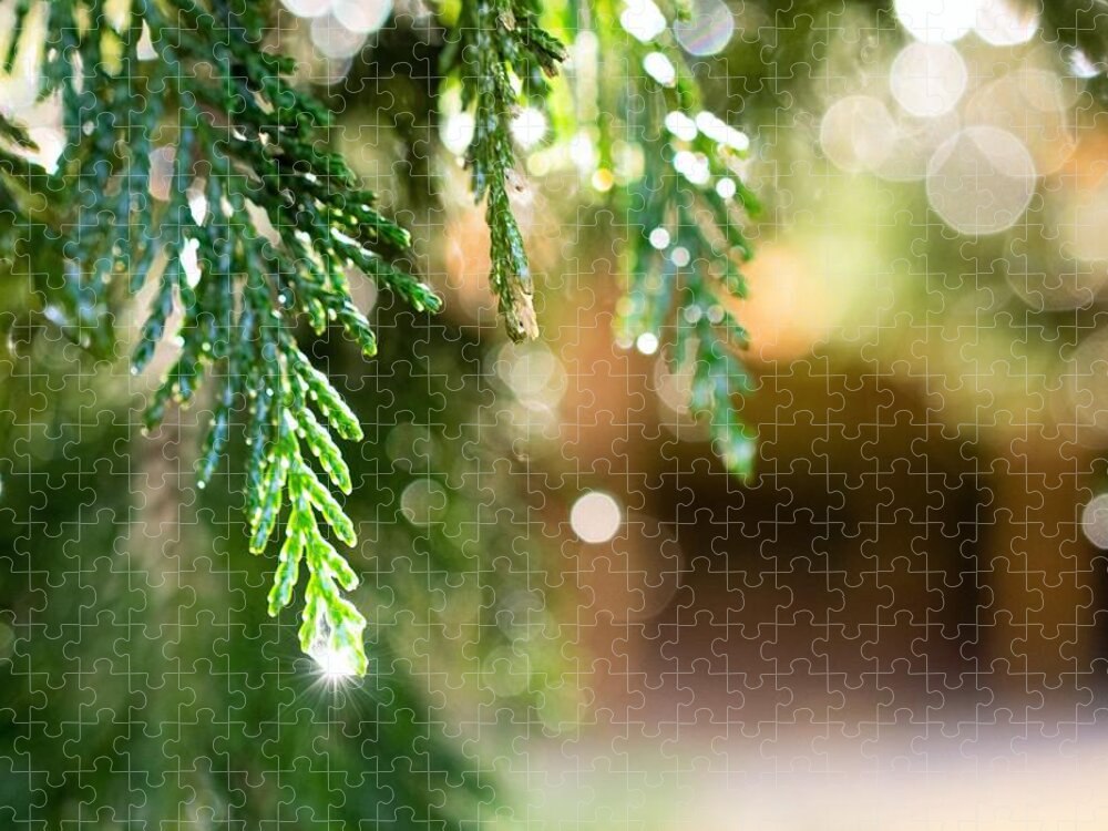 Pine Needles Jigsaw Puzzle featuring the photograph In the Pines After the Rain by Mary Ann Artz