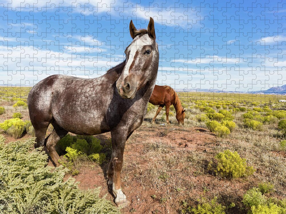Horse Photo Jigsaw Puzzle featuring the photograph Indian Horse in the Desert by Kathleen Bishop