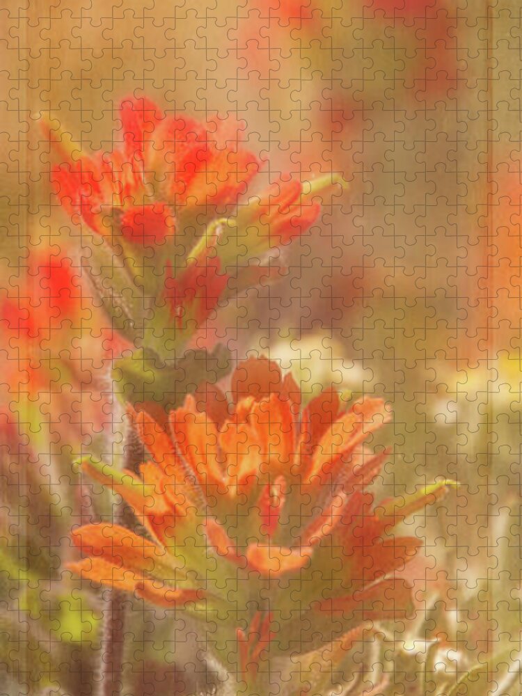 Photography Jigsaw Puzzle featuring the digital art Indian Paintbrush 2 by Terry Davis