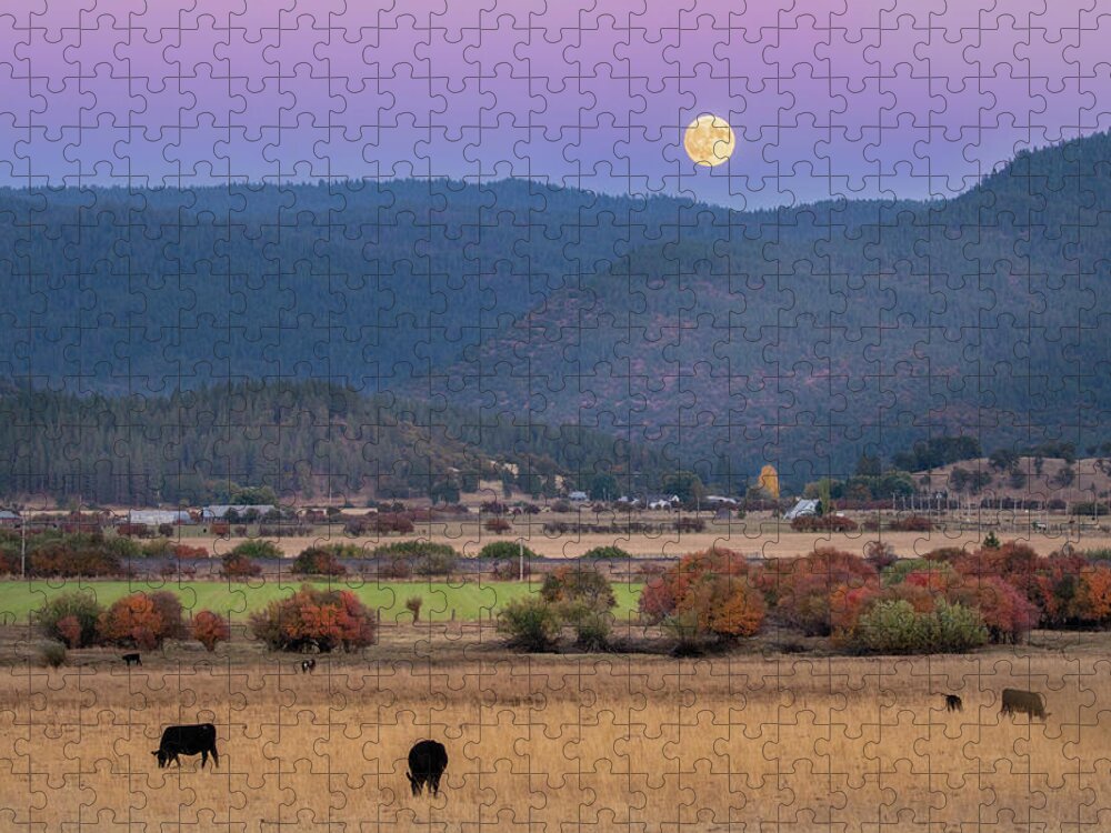 Plumas Jigsaw Puzzle featuring the photograph Indian Valley, CA by Randy Robbins