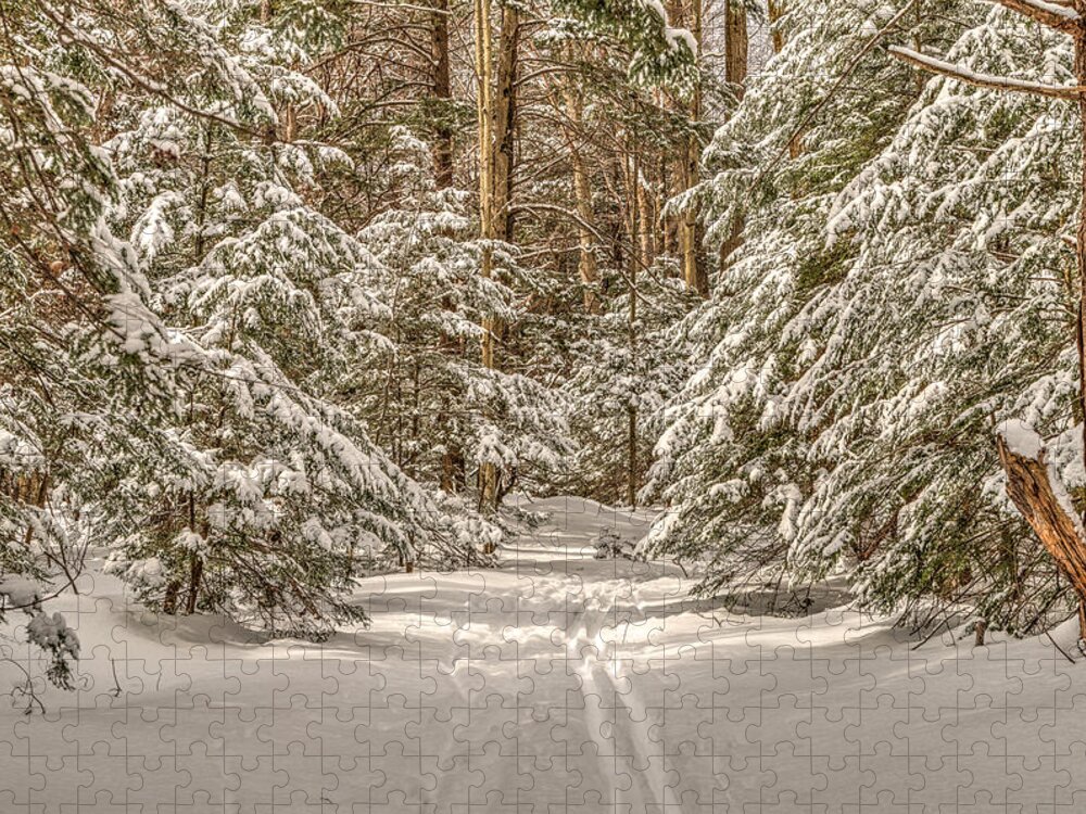 Pine Jigsaw Puzzle featuring the photograph Into the Forest by Rod Best