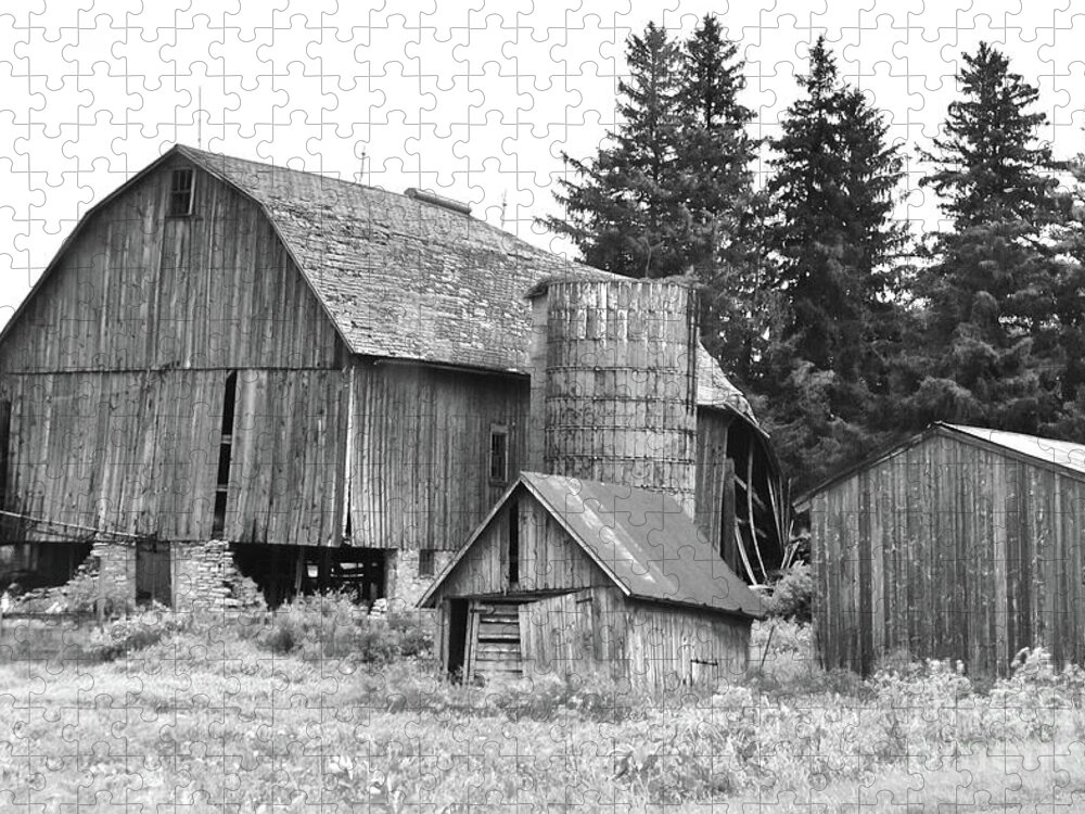 Iowa Jigsaw Puzzle featuring the photograph Iowa Barn Ruins by Ron Long
