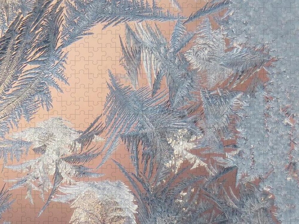 Frost Jigsaw Puzzle featuring the photograph Jack Frost Beauty by Sharon Duguay