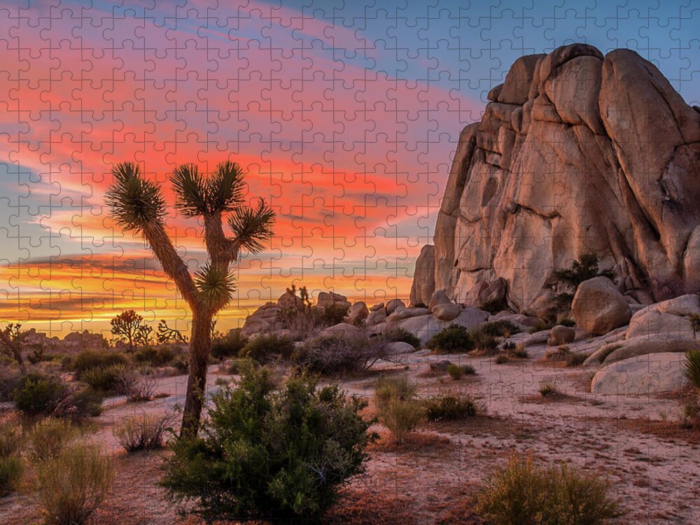 #faatoppicks Jigsaw Puzzle featuring the photograph Joshua Tree Sunset by Peter Tellone