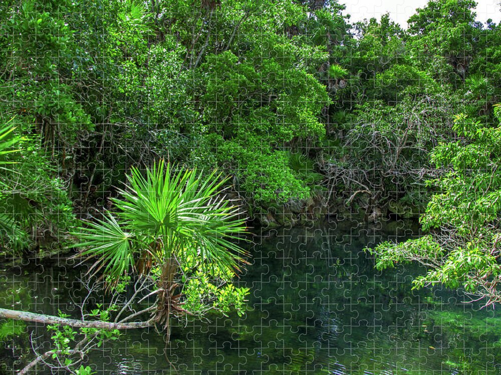 Jungle Jigsaw Puzzle featuring the photograph Jungle of Xel-Ha by Sun Travels