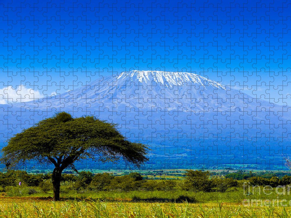 Tanzania Jigsaw Puzzle featuring the photograph Kilimanjaro On African Savannah by Andrzej Kubik