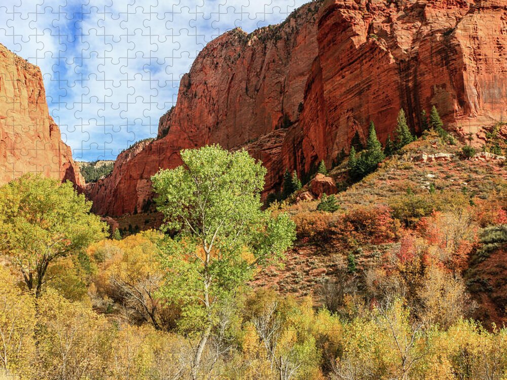 Canyons Jigsaw Puzzle featuring the photograph Kolob Canyon 1, Zion National Park by Dawn Richards