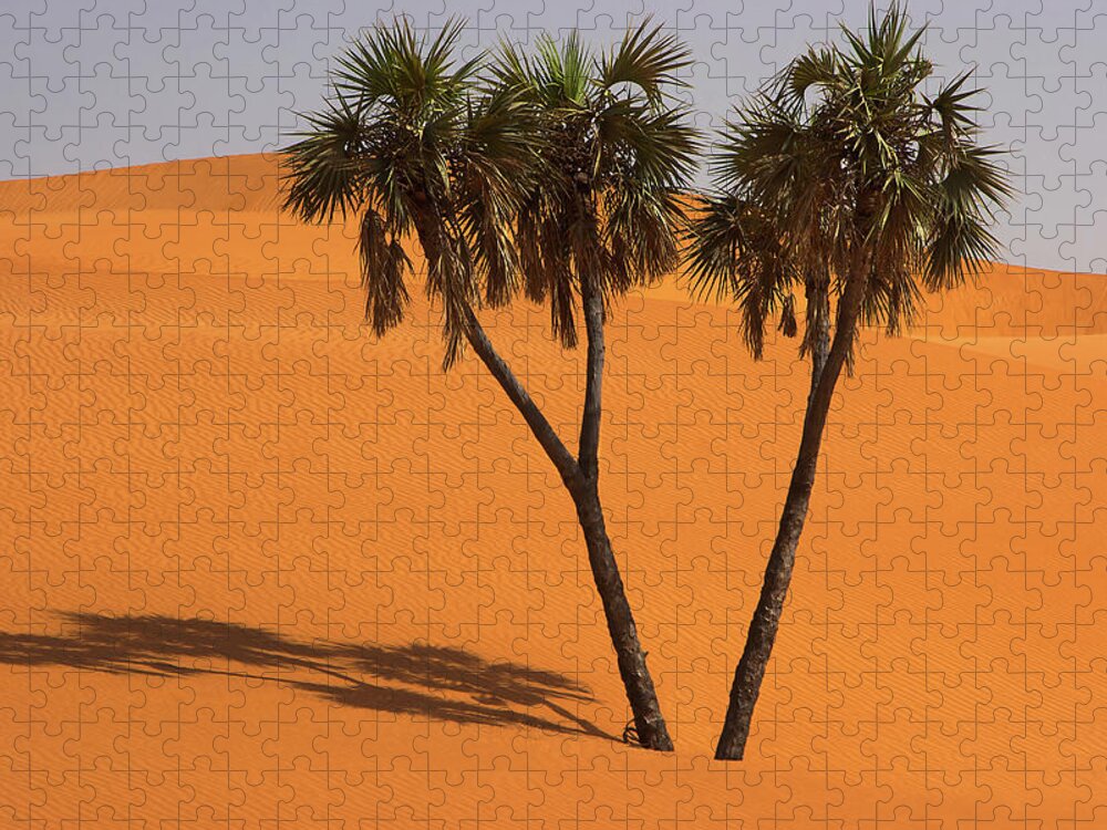 Scenics Jigsaw Puzzle featuring the photograph Kuri Wakko Dunes by Irene Becker Photography