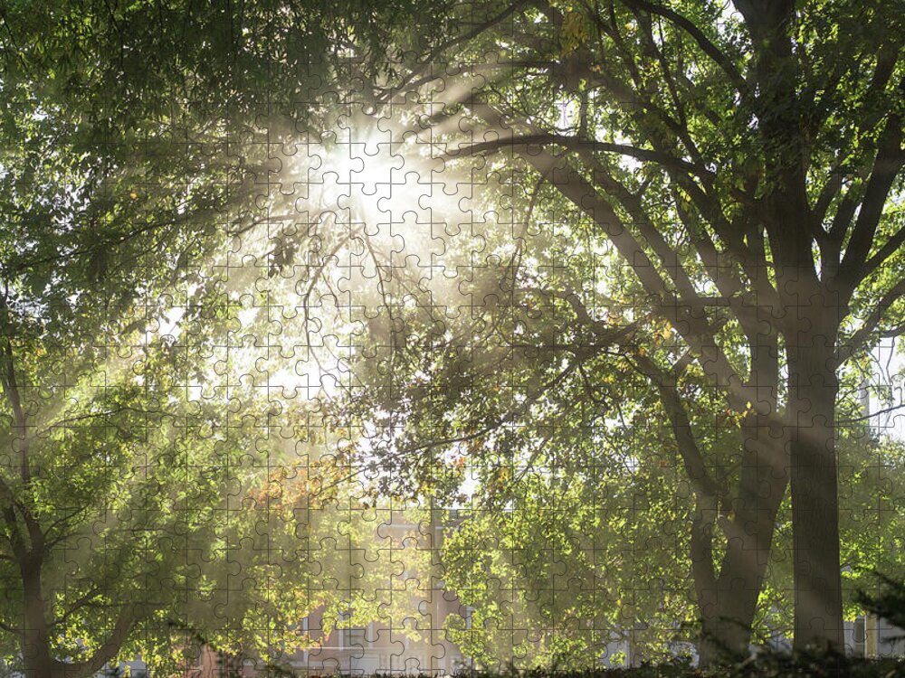Lafayette Park Jigsaw Puzzle featuring the photograph Lafayette Park by Scott Rackers