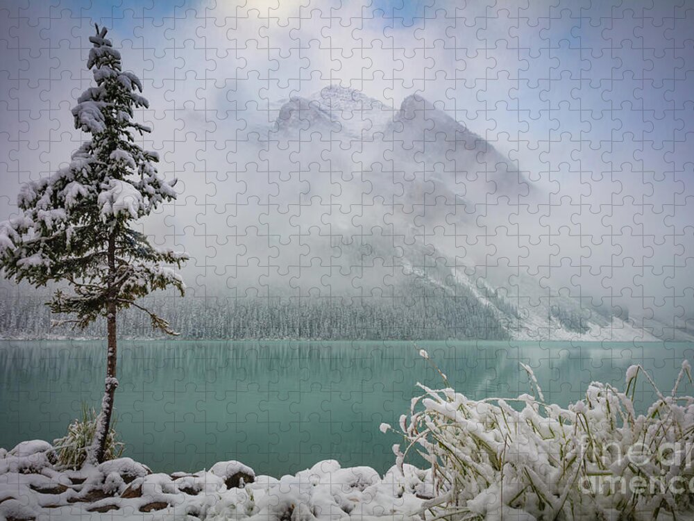 Alberta Jigsaw Puzzle featuring the photograph Lake Louise Lonesome Tree  by Inge Johnsson