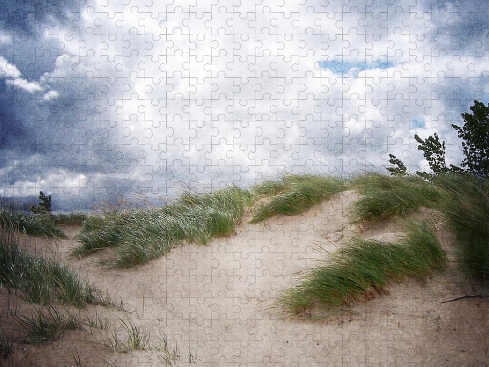 Holland Jigsaw Puzzle featuring the photograph Lake Michigan Sand Dunes by Phil Perkins