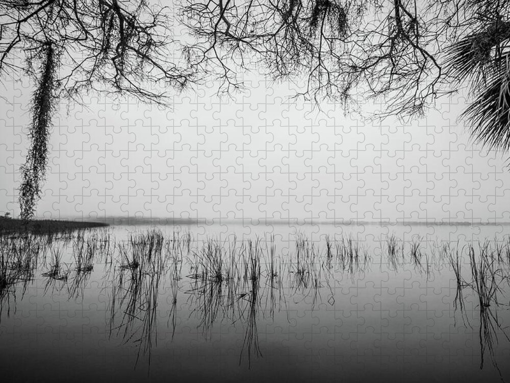 Nature Jigsaw Puzzle featuring the photograph Lake Tarpon by Joe Leone