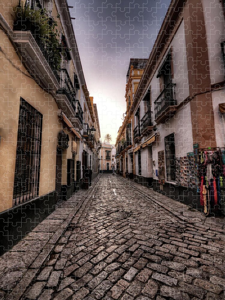 Tranquility Jigsaw Puzzle featuring the photograph Las Calles De Sevilla - The Sevilles by Celta4