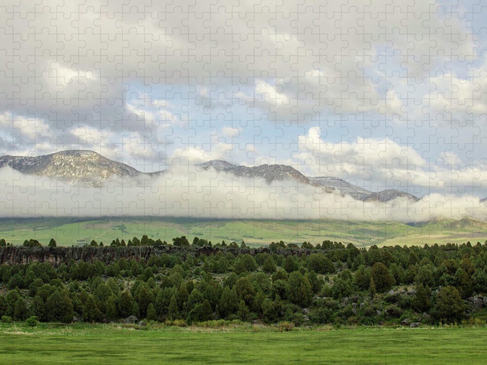 Cedar Tree Jigsaw Puzzle featuring the photograph Layers Upon Layers by ©anitaburke