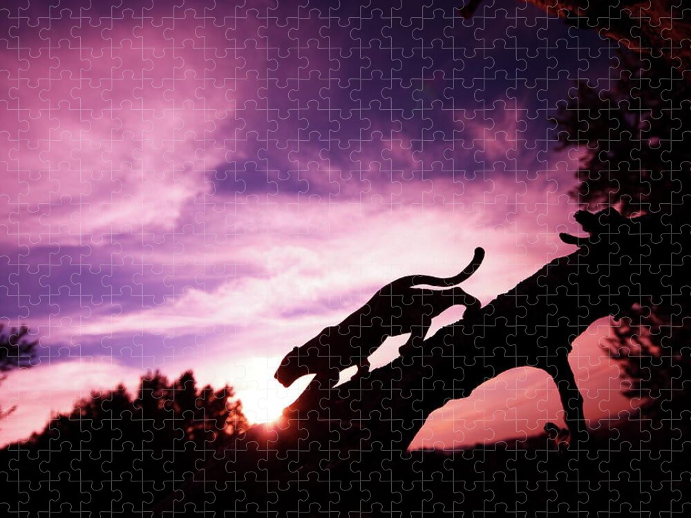 Big Cat Jigsaw Puzzle featuring the photograph Leopard Silhouette by Aydinmutlu